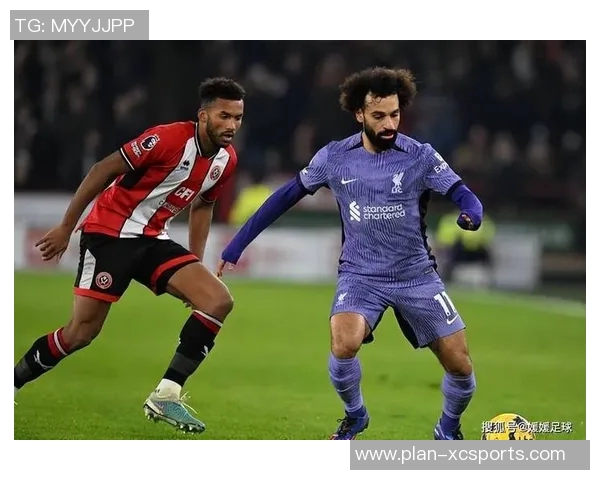 赫尔城对阵谢菲尔德精彩直播全程回顾与赛后分析